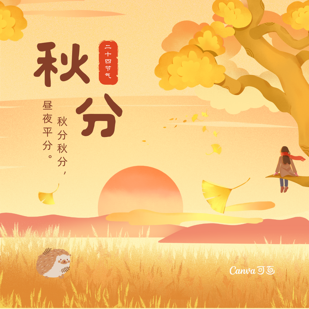 创意设计 - Canva可画