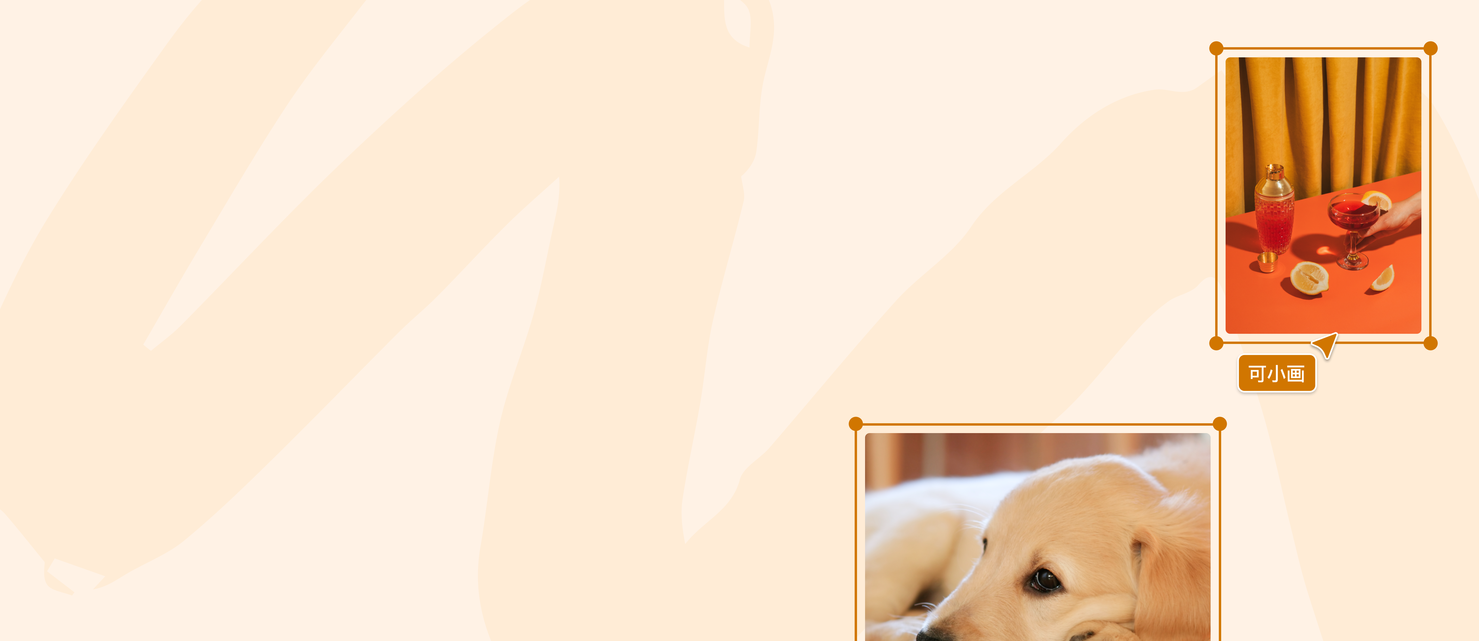 在线免费将WebP转换为JPG