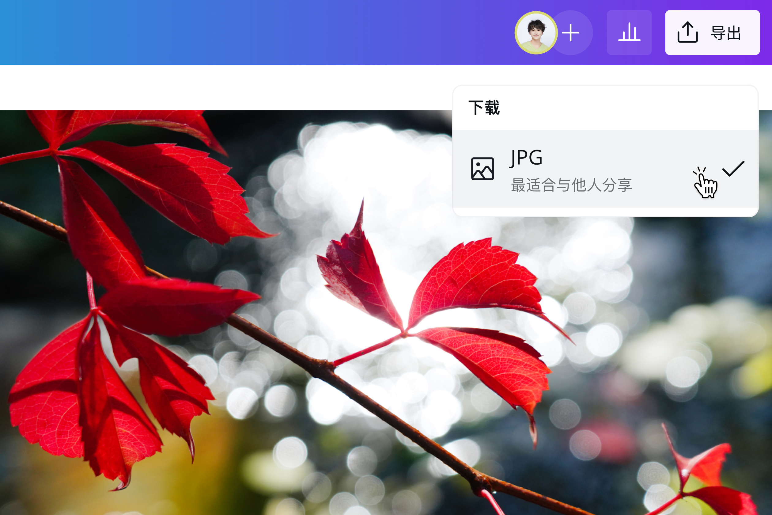 在线免费将WebP转换为JPG 在线免费将WebP转换为JPG