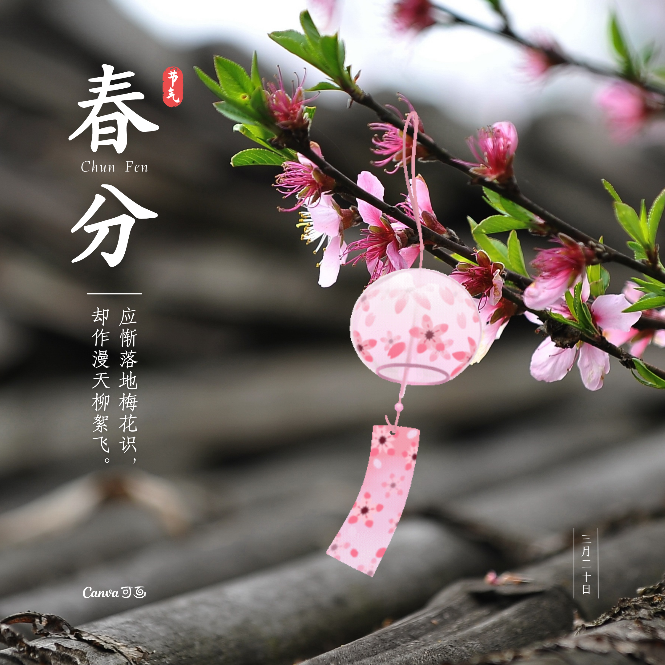 春分创意设计_春分设计灵感 - Canva可画
