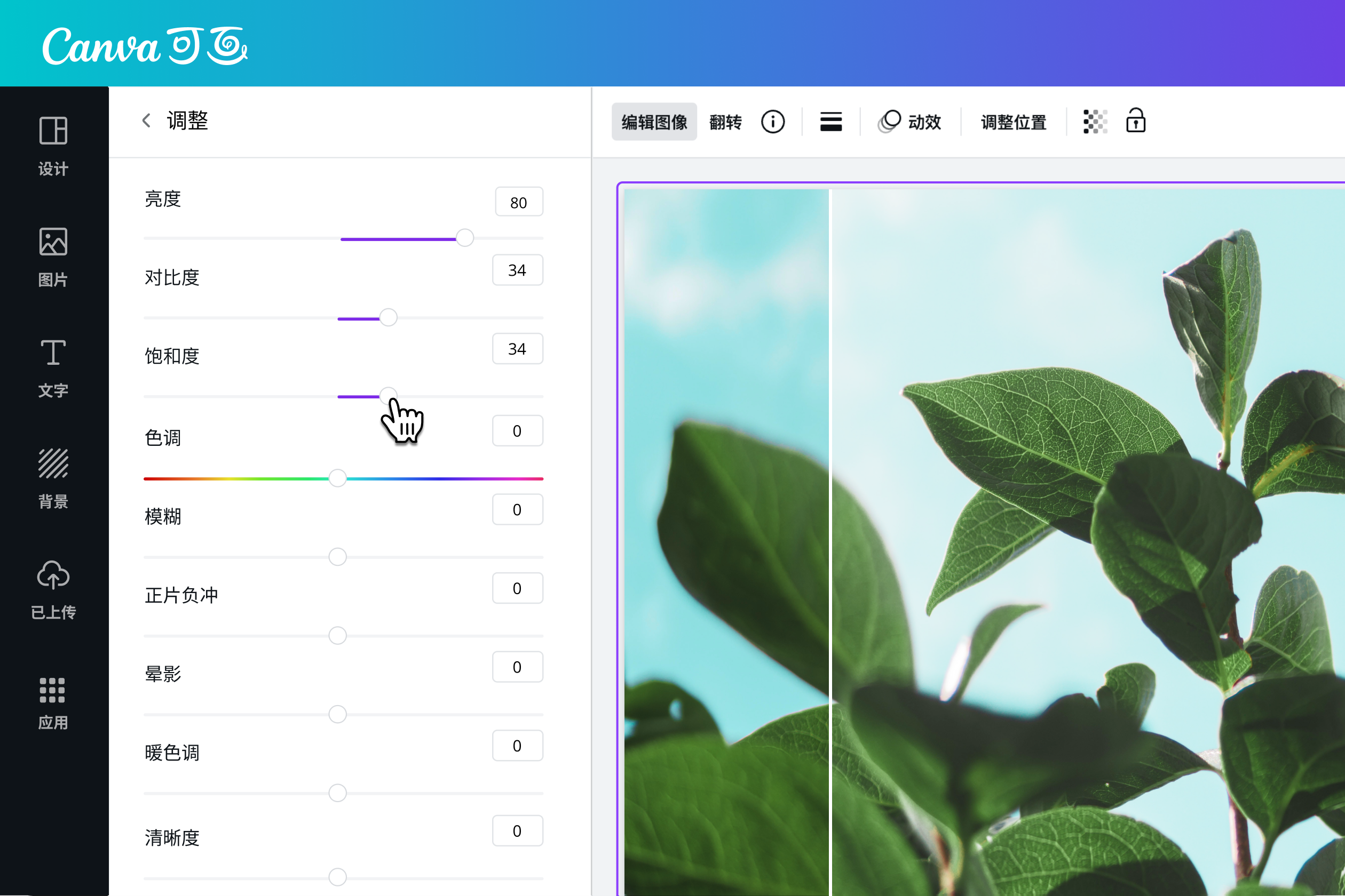 在数字项目中使用你的图片 在数字项目中使用你的图片