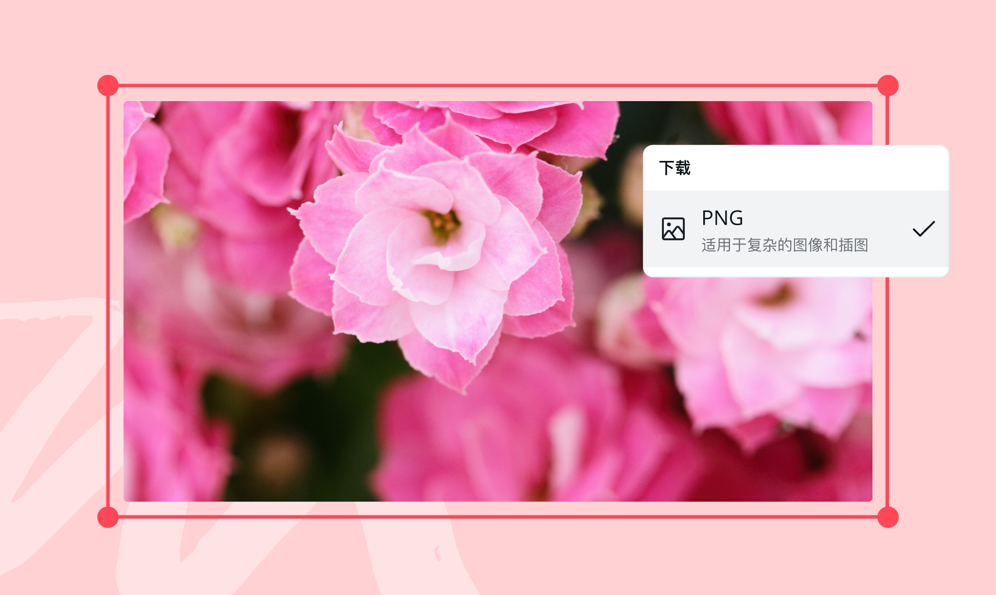 在线免费将HEIC转换为PNG