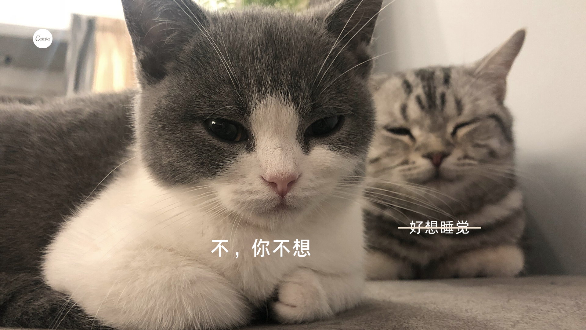 桌面壁纸图片分享，免费、无水印的高清壁纸，一键下载！ 