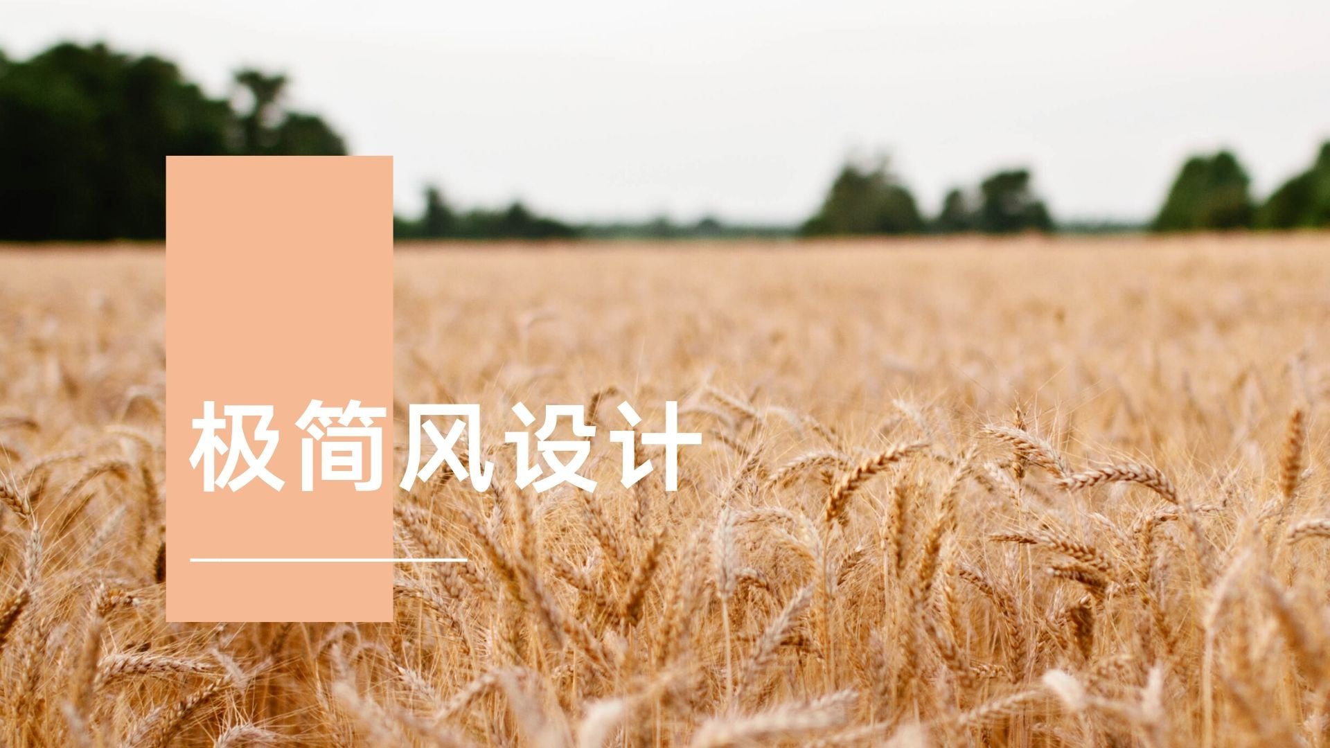 白蓝黑色山峦手机聚光灯人物产品介绍演示文稿 (17)